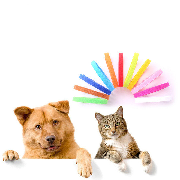 20 ID bands for newborn pet identification collars